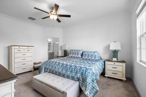 17206 Star Banks Street Wimauma FL 33598