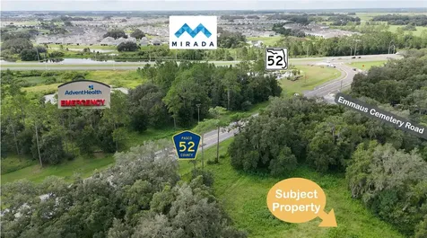 31107 Dana Drive San Antonio FL 33576