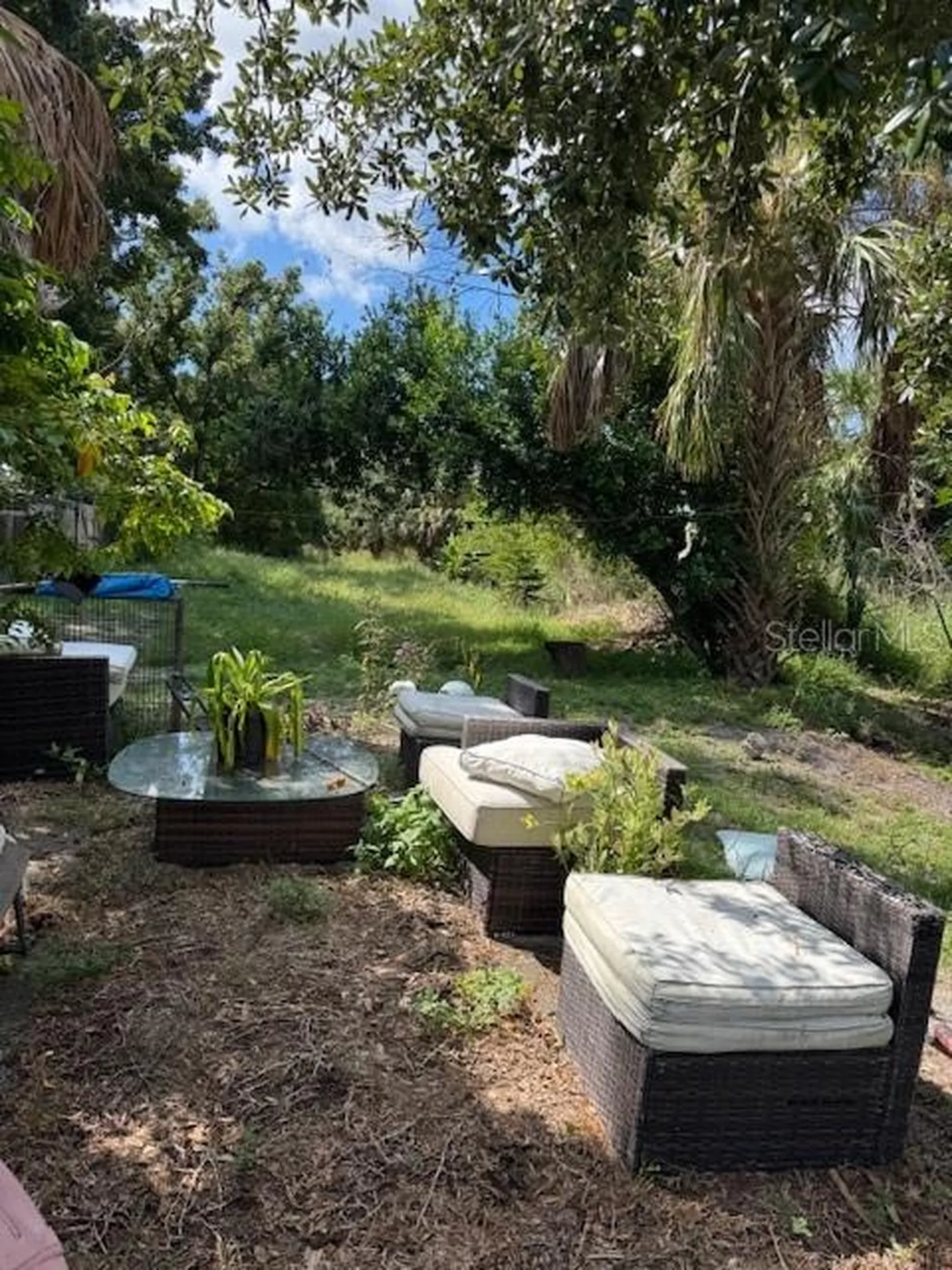 5834 Sussex Drive Tampa FL 33615