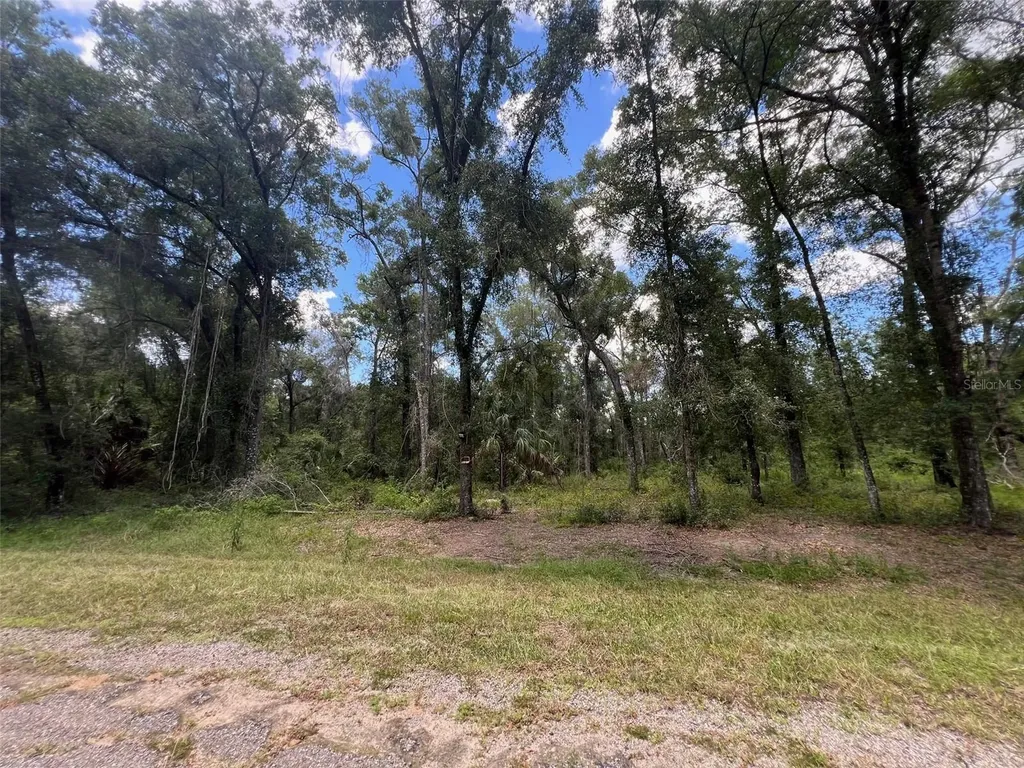 1628 E Derby Drive Dunnellon FL 34434