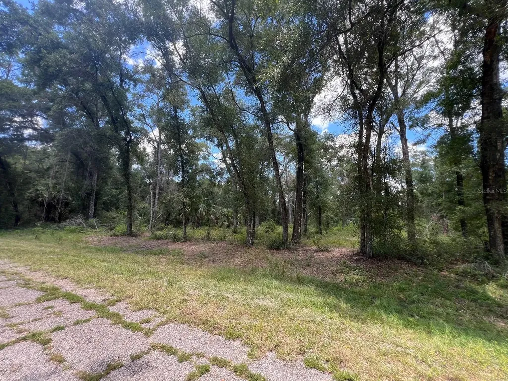 1628 E Derby Drive Dunnellon FL 34434