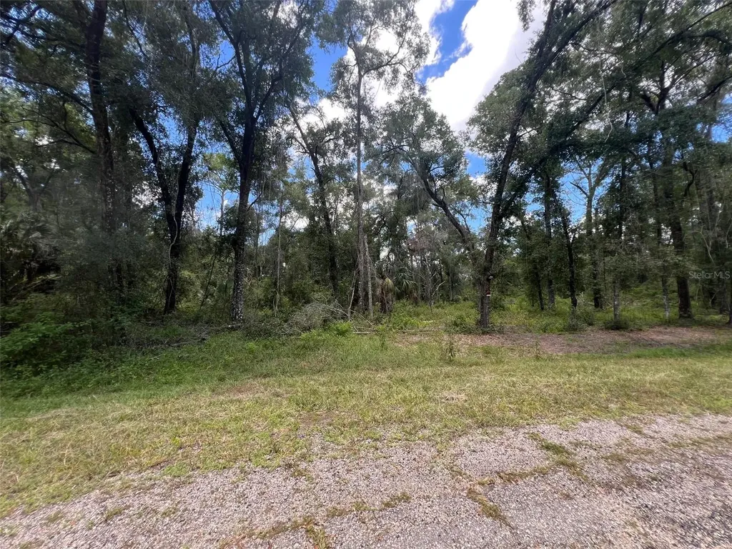 1628 E Derby Drive Dunnellon FL 34434