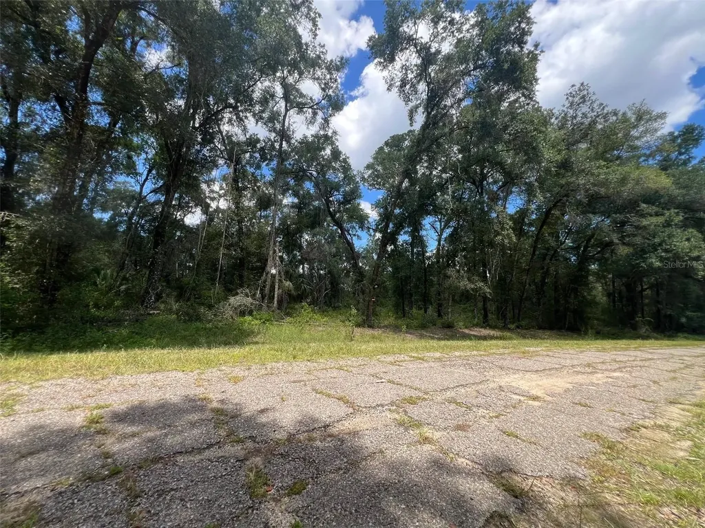 1628 E Derby Drive Dunnellon FL 34434