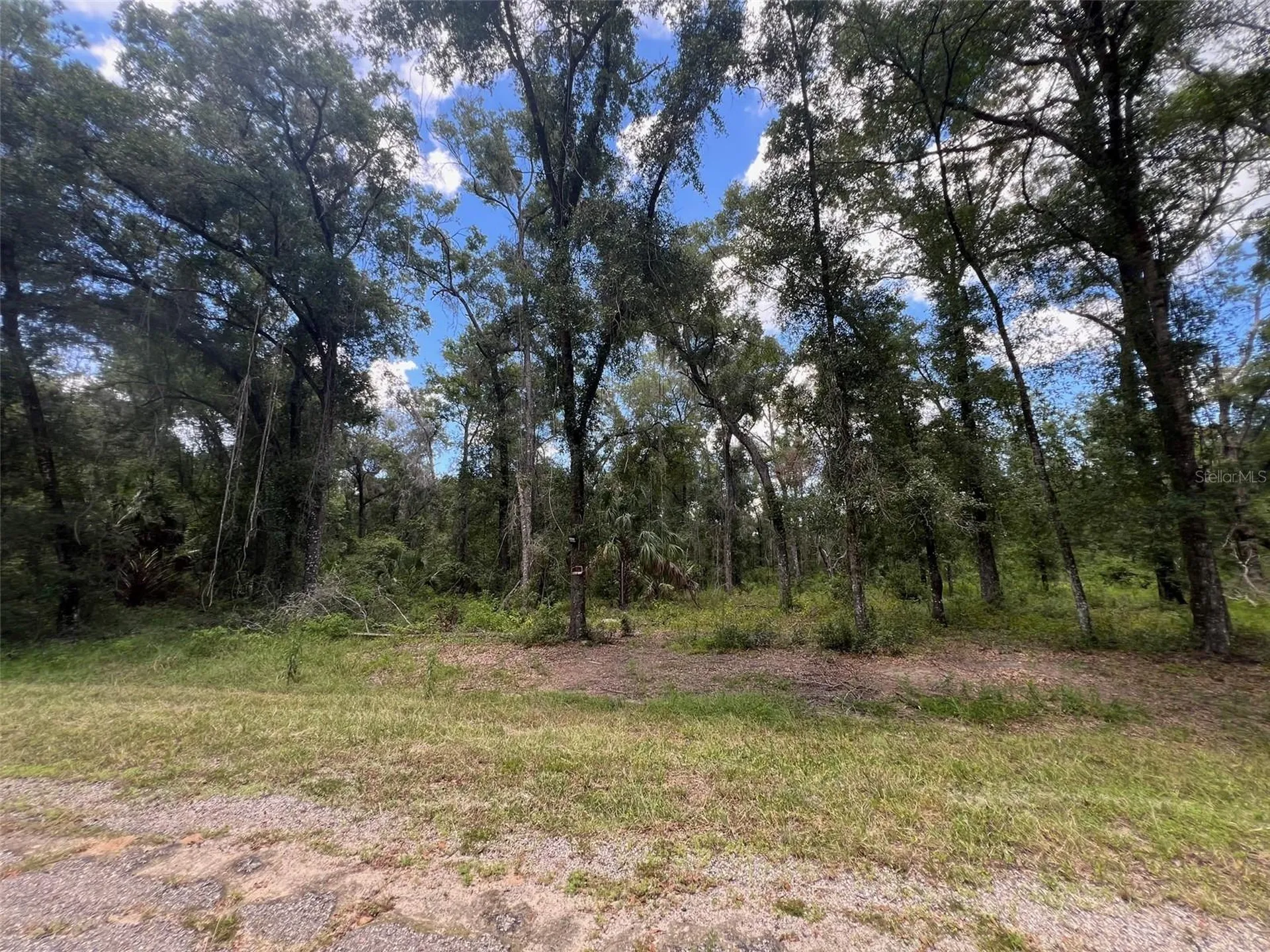 1628 E Derby Drive Dunnellon FL 34434