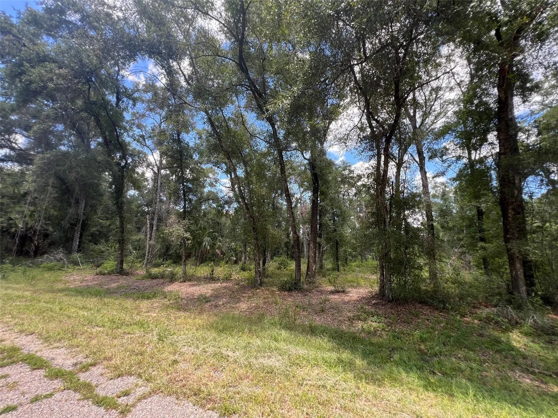 1628 E Derby Drive Dunnellon FL 34434