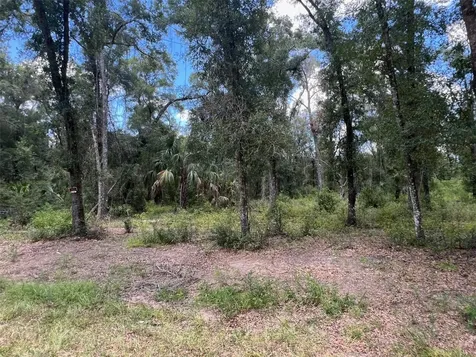 1628 E Derby Drive Dunnellon FL 34434