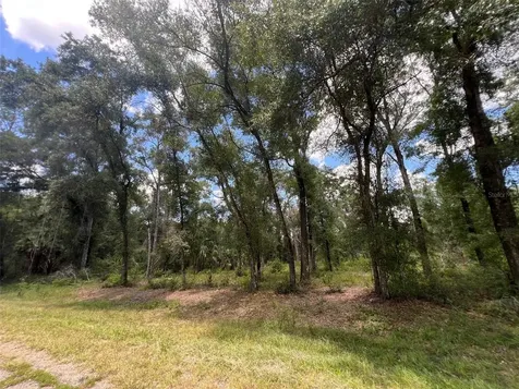 1628 E Derby Drive Dunnellon FL 34434