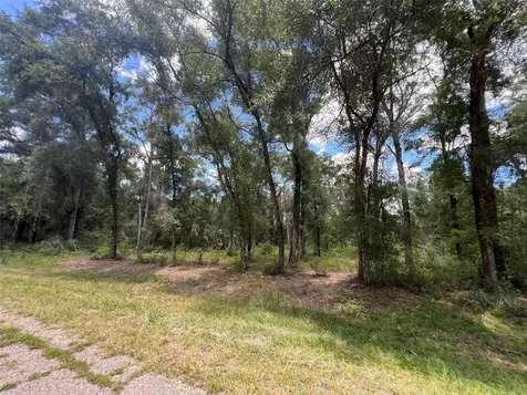 1628 E Derby Drive Dunnellon FL 34434