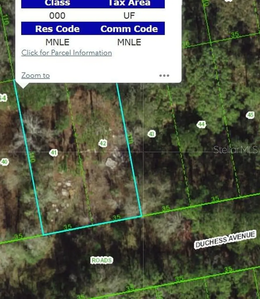 13027 Duchess Avenue New Port Richey FL 34654
