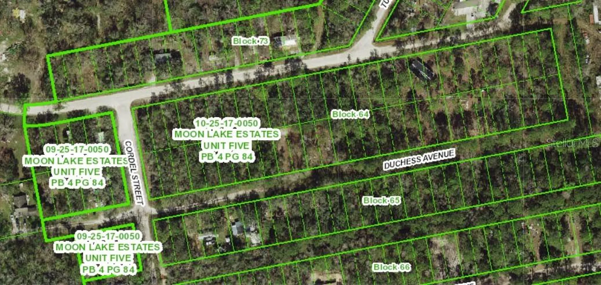 13027 Duchess Avenue New Port Richey FL 34654