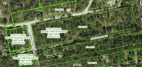 13027 Duchess Avenue New Port Richey FL 34654