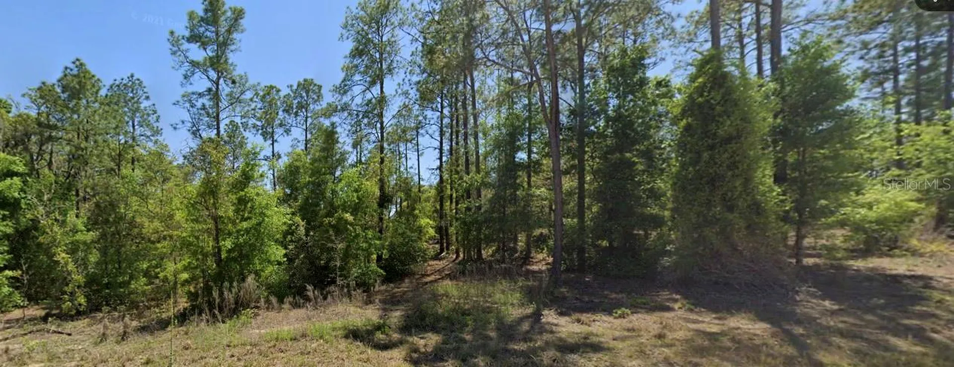 SE 5th Place Williston FL 32696