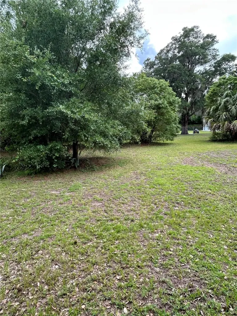 305 Violetwood Road Deland FL 32720