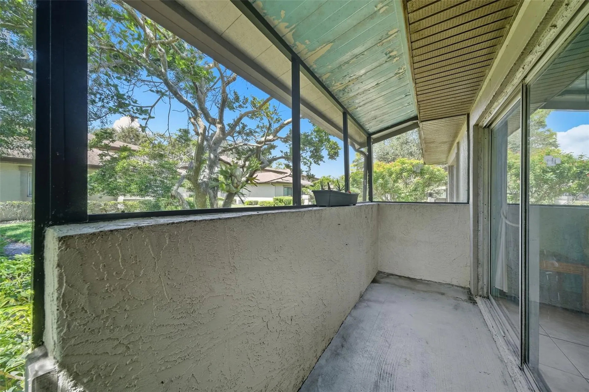 2923 Lichen Lane Clearwater FL 33760