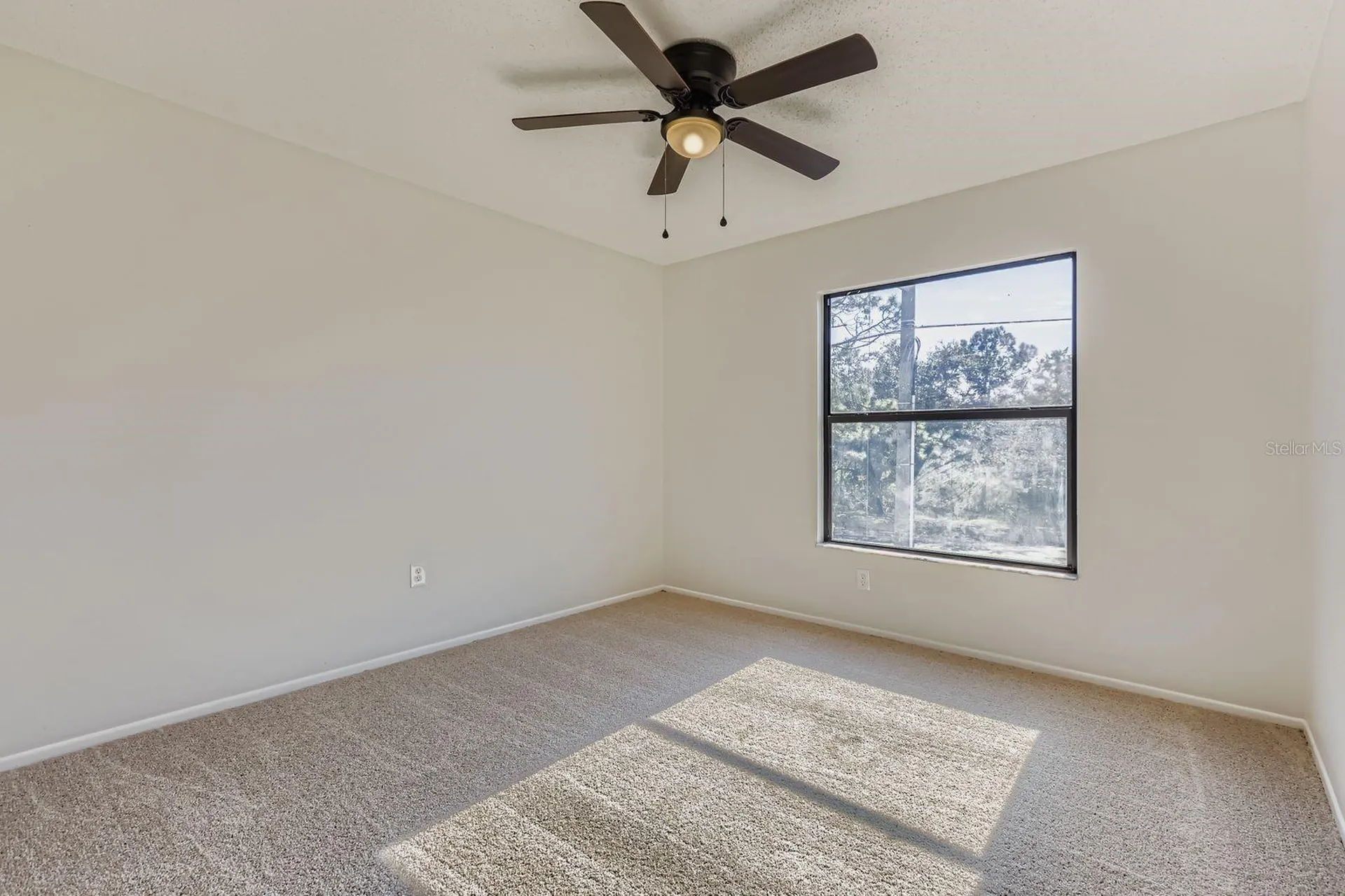 8601 Flowing Brook Court Tampa FL 33635