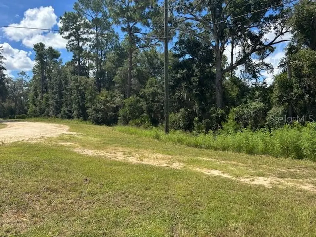 0000 SE 178th Terrace Silver Springs FL 34488