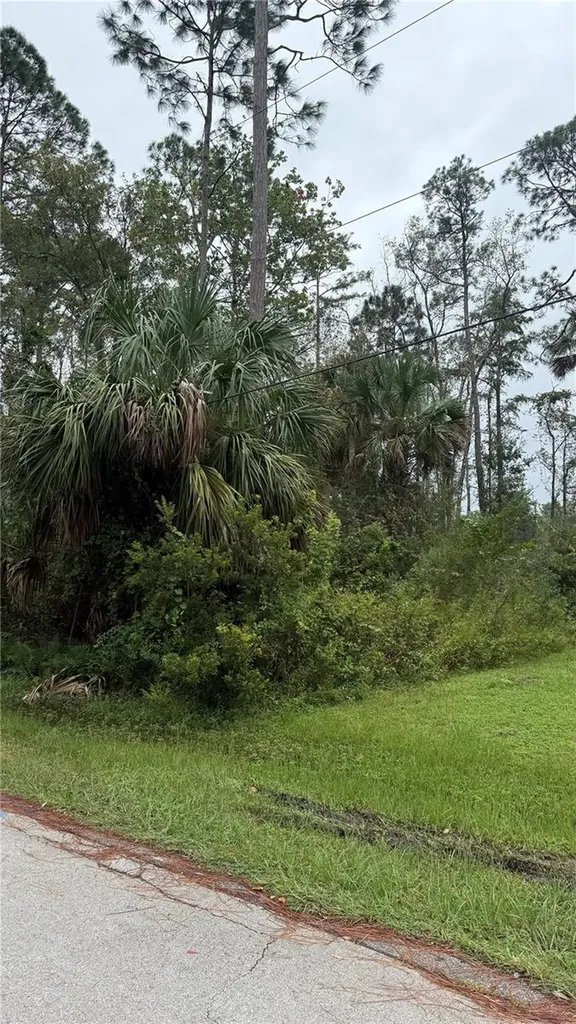10 Poindexter Lane Palm Coast FL 32164