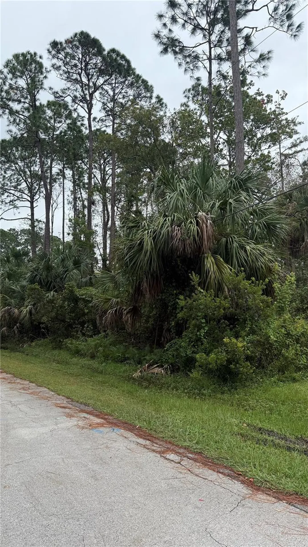 10 Poindexter Lane Palm Coast FL 32164