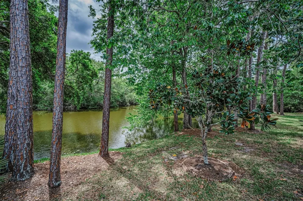 1502 Woodstream Drive Oldsmar FL 34677