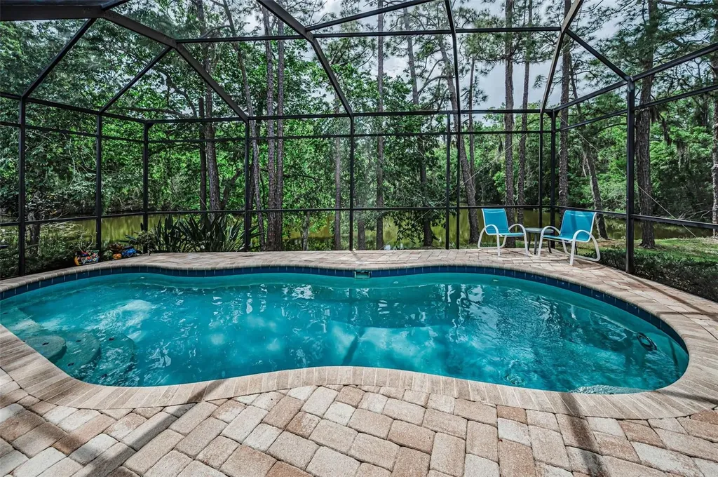 1502 Woodstream Drive Oldsmar FL 34677