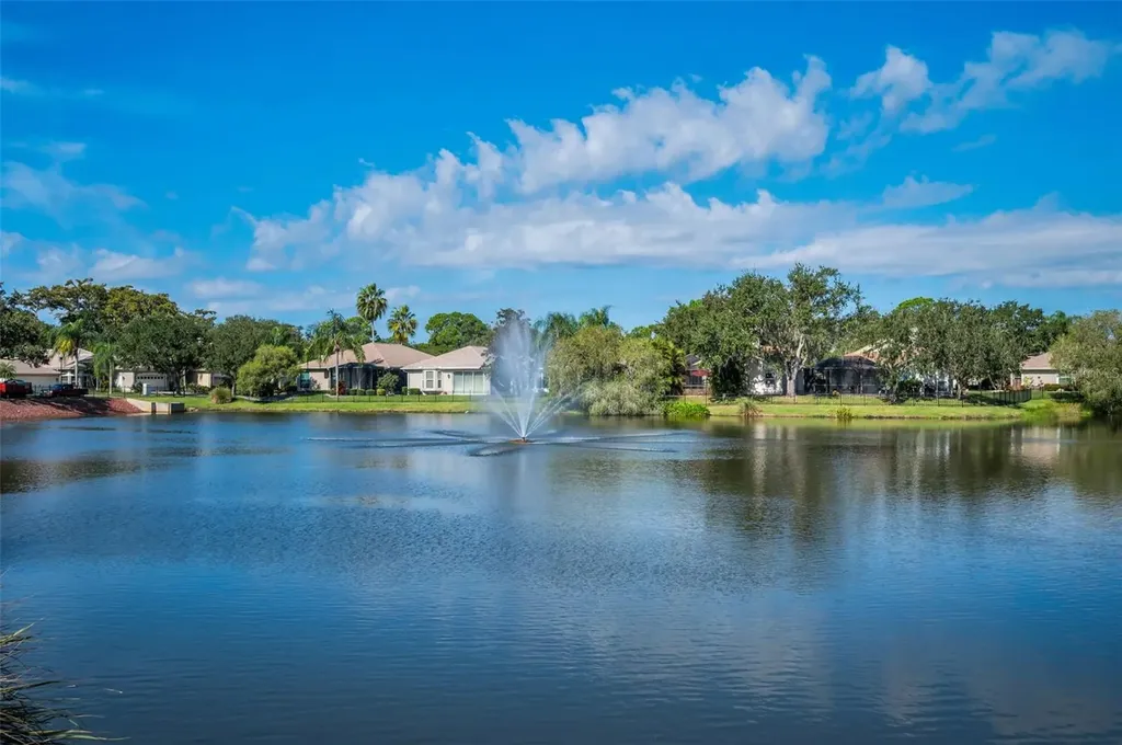 1502 Woodstream Drive Oldsmar FL 34677