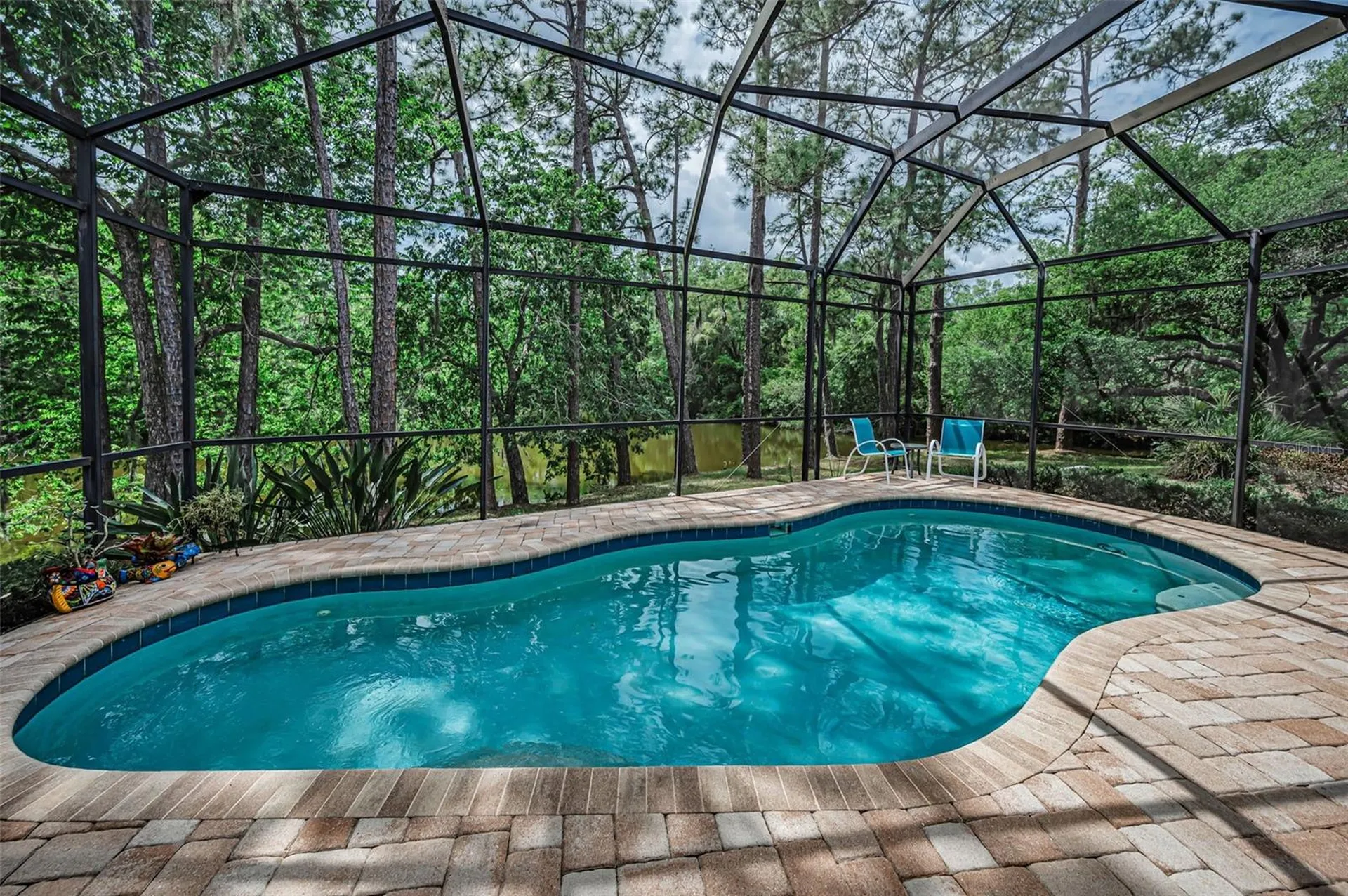 1502 Woodstream Drive Oldsmar FL 34677