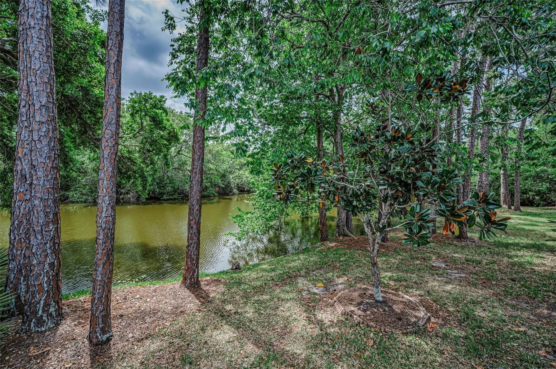 1502 Woodstream Drive Oldsmar FL 34677