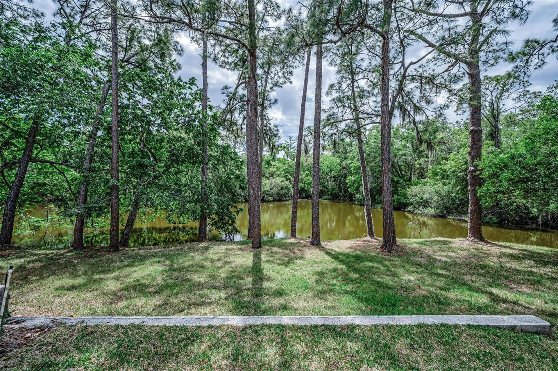 1502 Woodstream Drive Oldsmar FL 34677