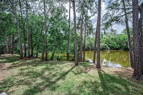 1502 Woodstream Drive Oldsmar FL 34677