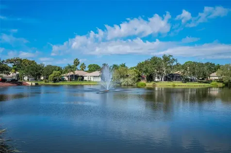 1502 Woodstream Drive Oldsmar FL 34677