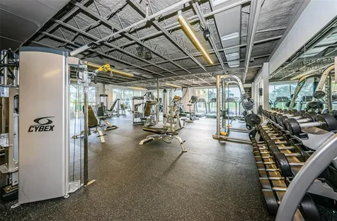1502 Woodstream Drive Oldsmar FL 34677