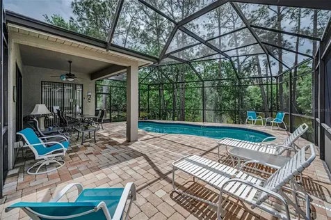 1502 Woodstream Drive Oldsmar FL 34677