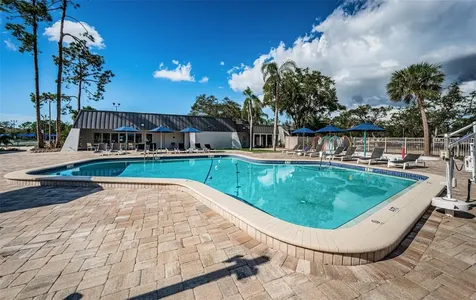 1502 Woodstream Drive Oldsmar FL 34677