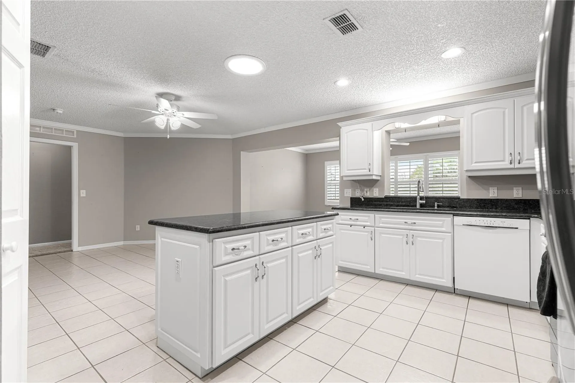 9878 SW 97th Lane Ocala FL 34481