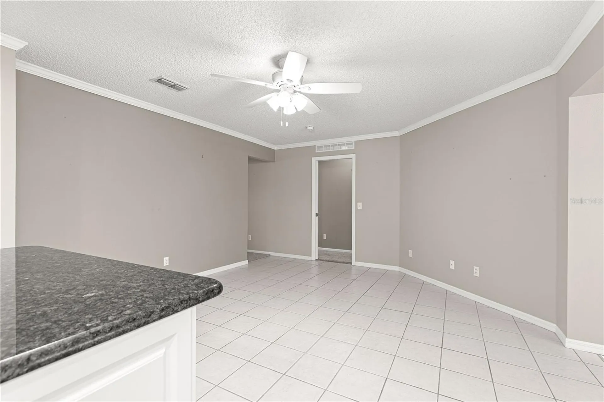 9878 SW 97th Lane Ocala FL 34481