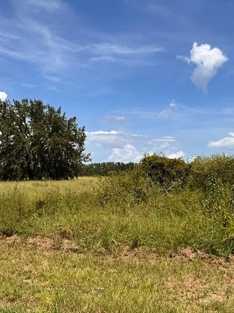 Haywood Worm Farm Road Leesburg FL 34748