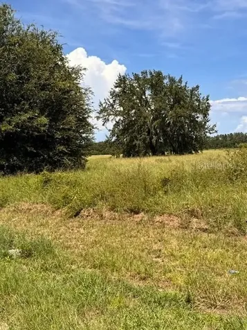 Haywood Worm Farm Road Leesburg FL 34748