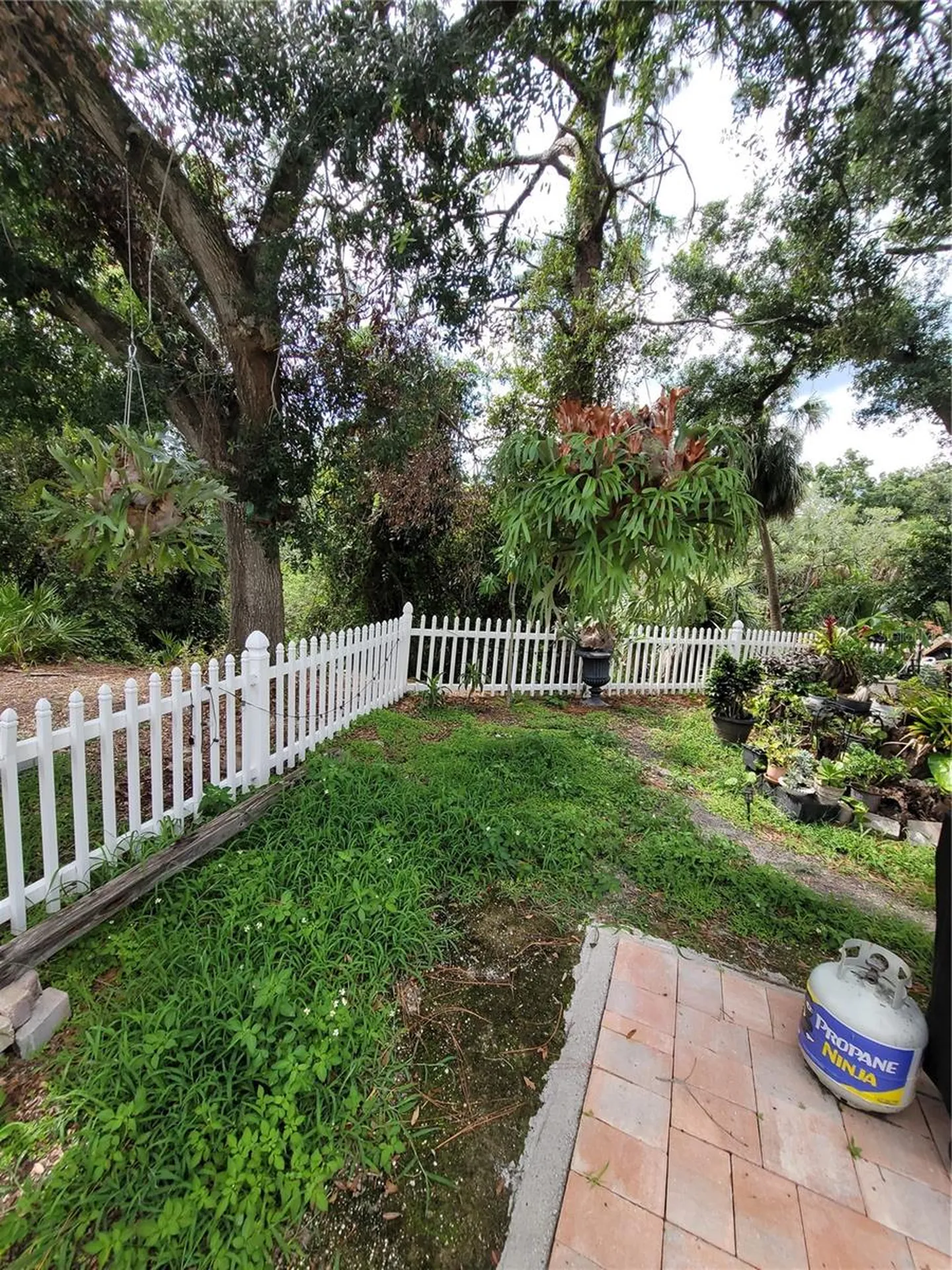 8320 Woodlake Place Tampa FL 33615