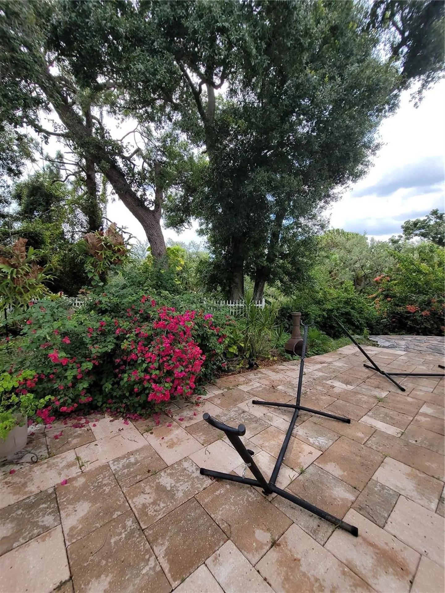 8320 Woodlake Place Tampa FL 33615