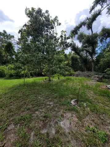 8320 Woodlake Place Tampa FL 33615