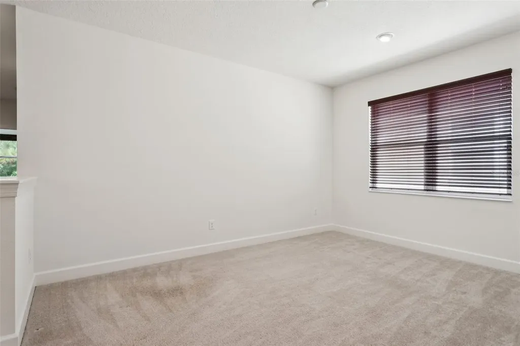 16036 Bella Woods Drive Tampa FL 33647