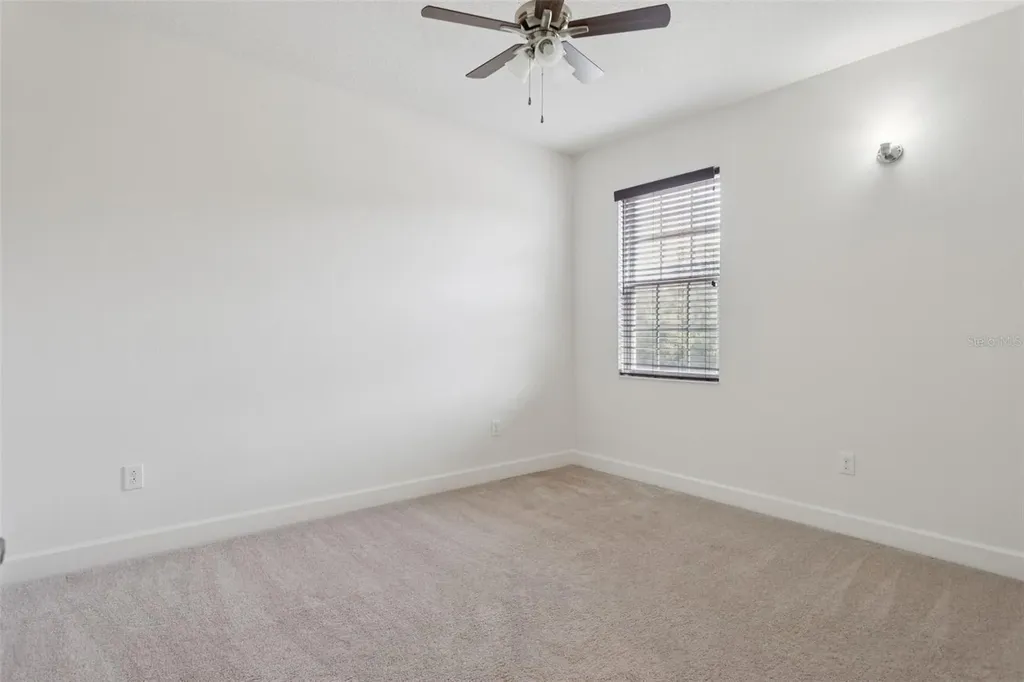 16036 Bella Woods Drive Tampa FL 33647