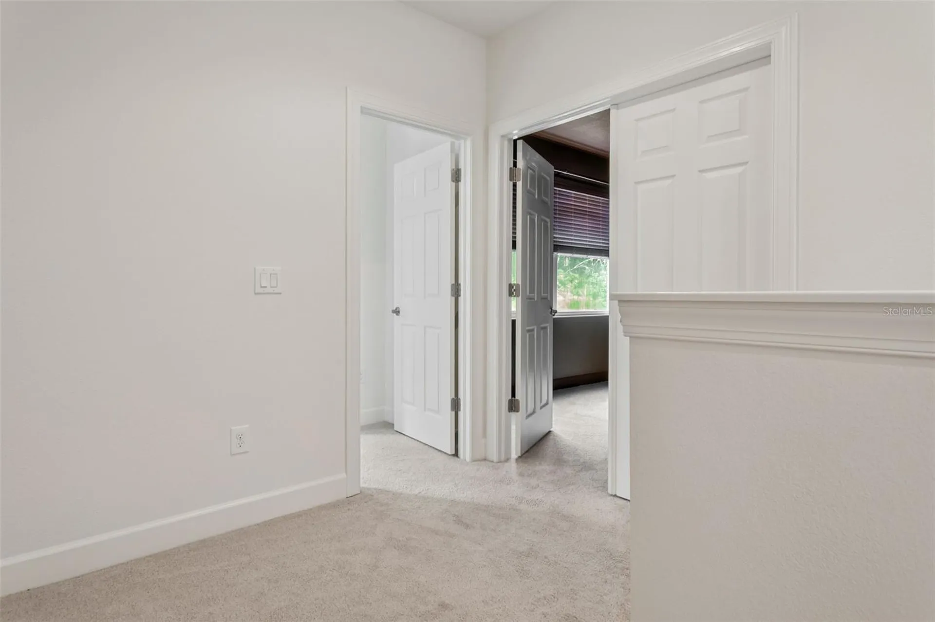 16036 Bella Woods Drive Tampa FL 33647