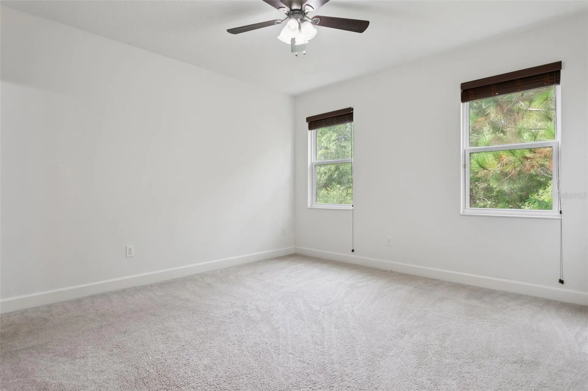 16036 Bella Woods Drive Tampa FL 33647