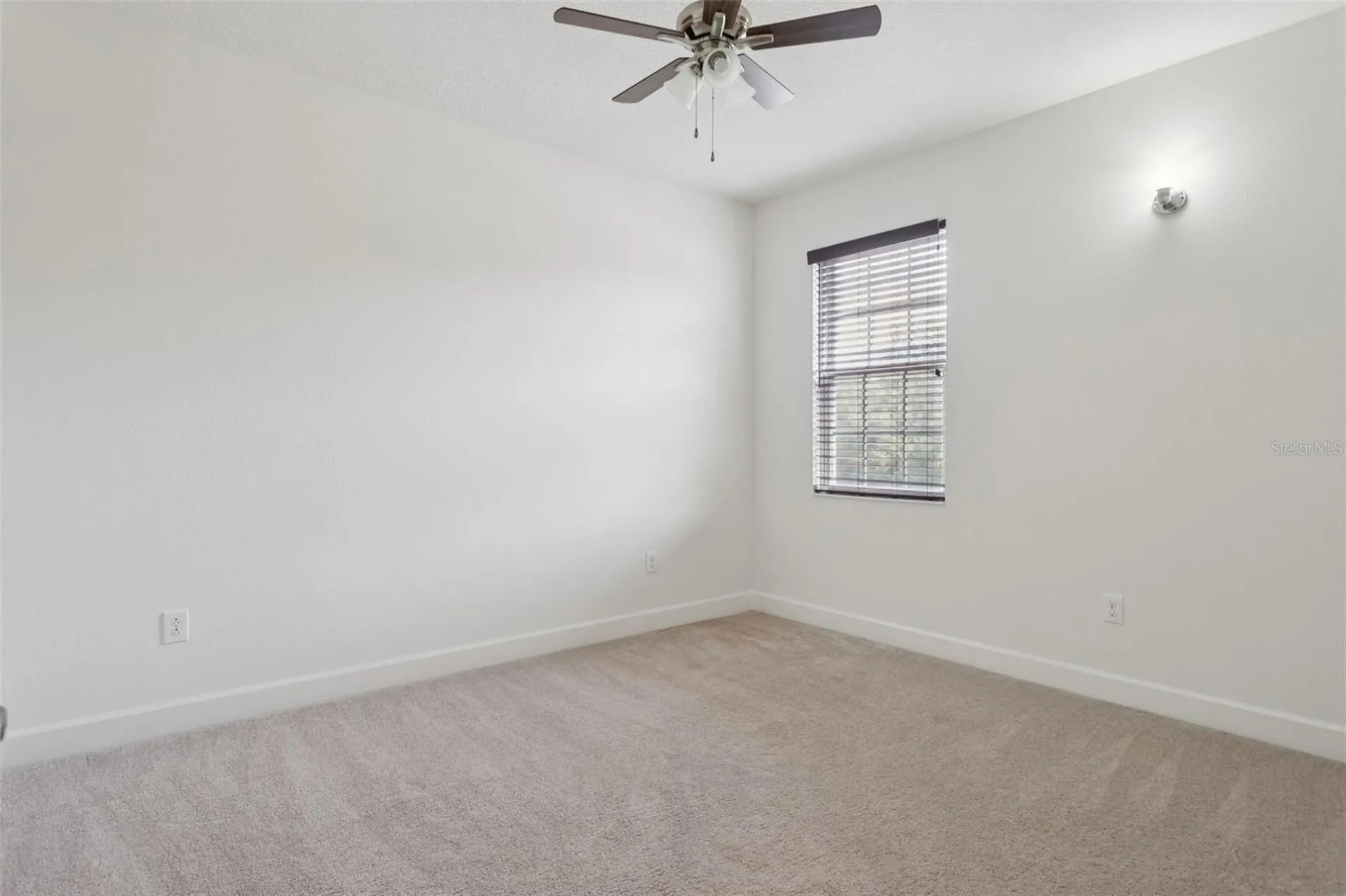 16036 Bella Woods Drive Tampa FL 33647