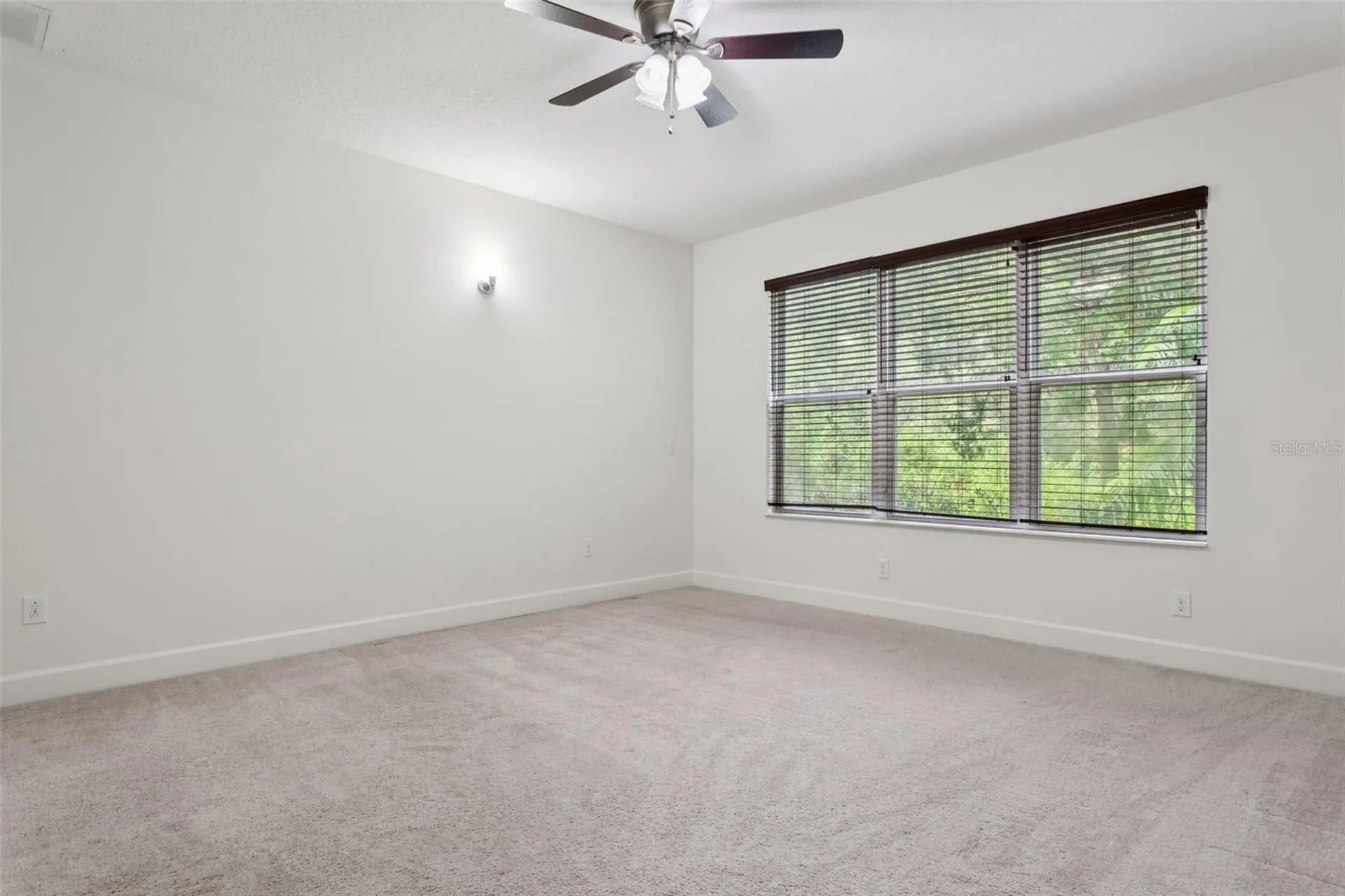16036 Bella Woods Drive Tampa FL 33647