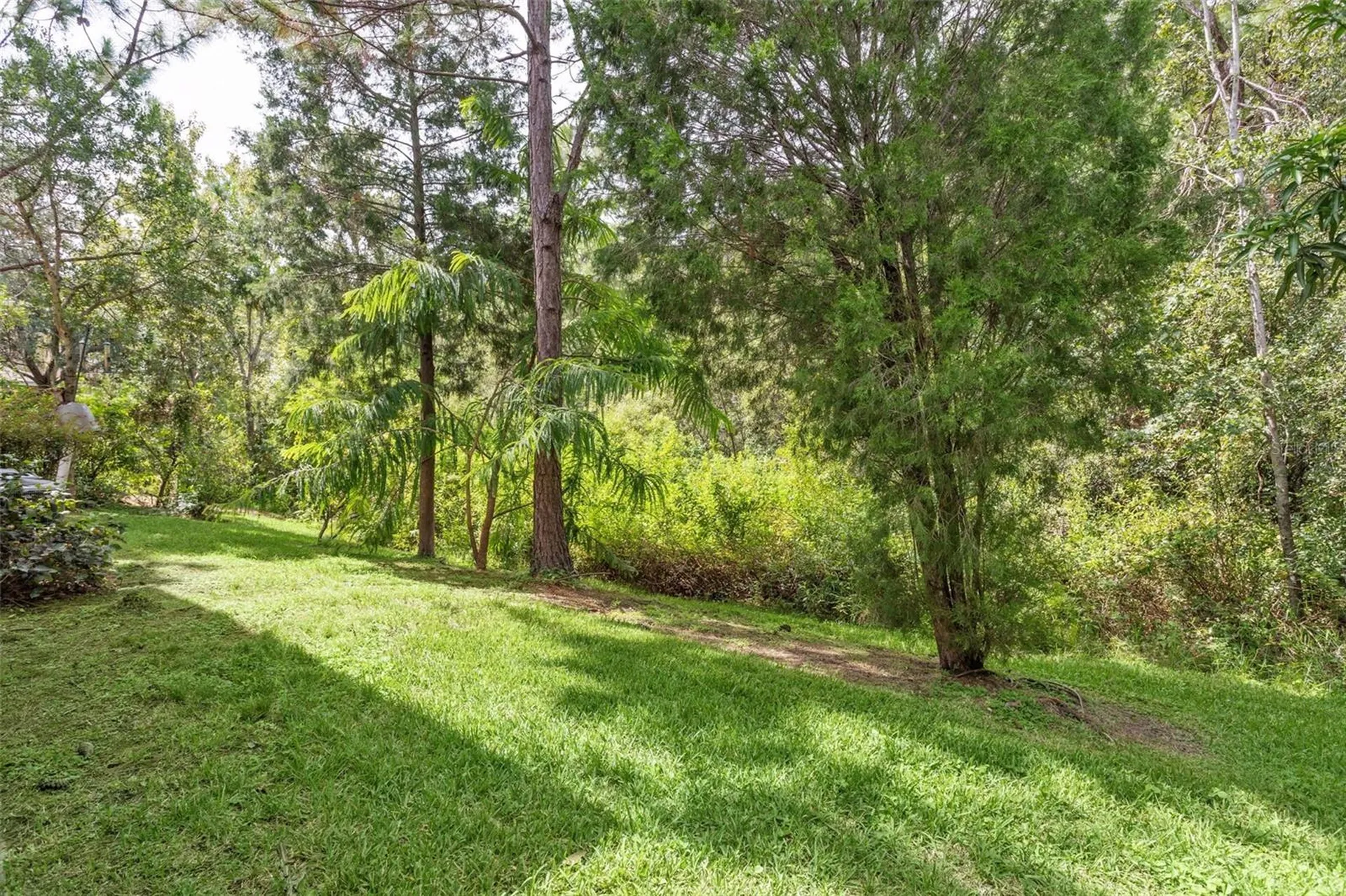 16036 Bella Woods Drive Tampa FL 33647