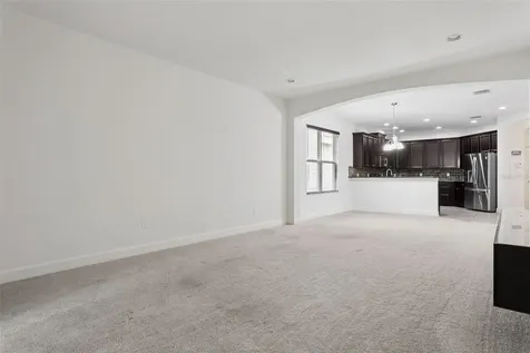 16036 Bella Woods Drive Tampa FL 33647