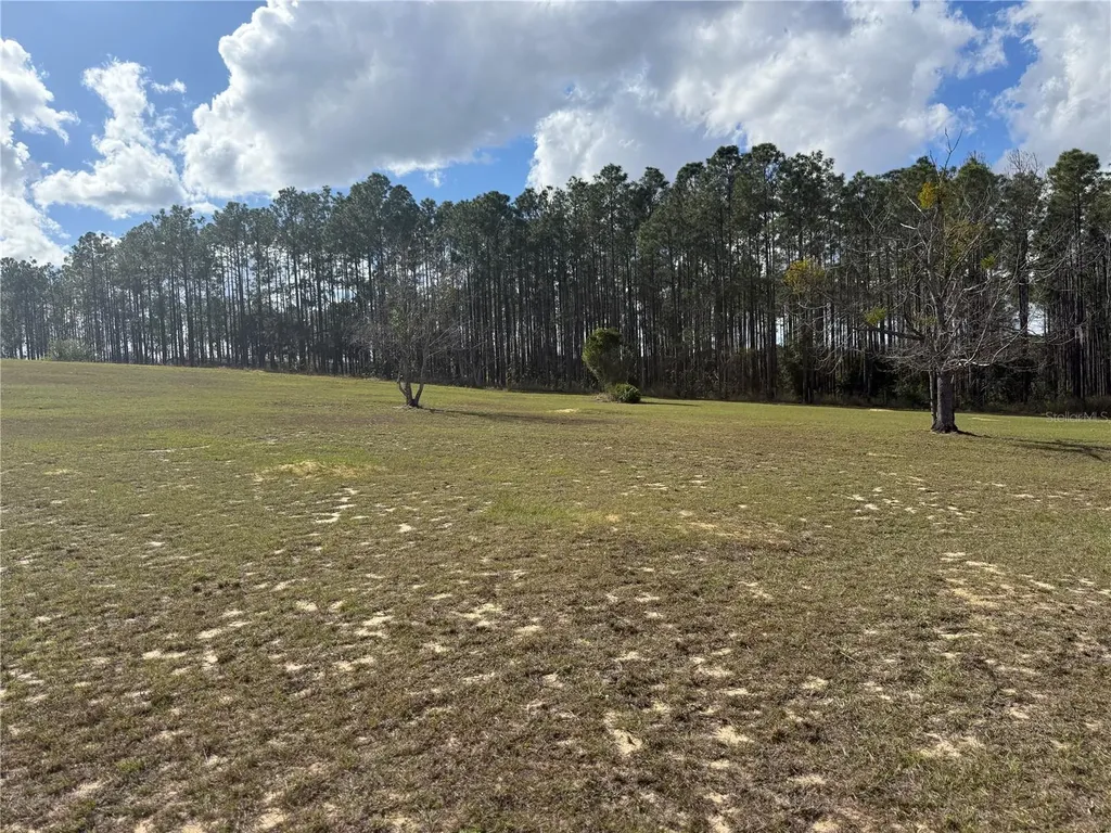 14520 Lost Lake Road Clermont FL 34711