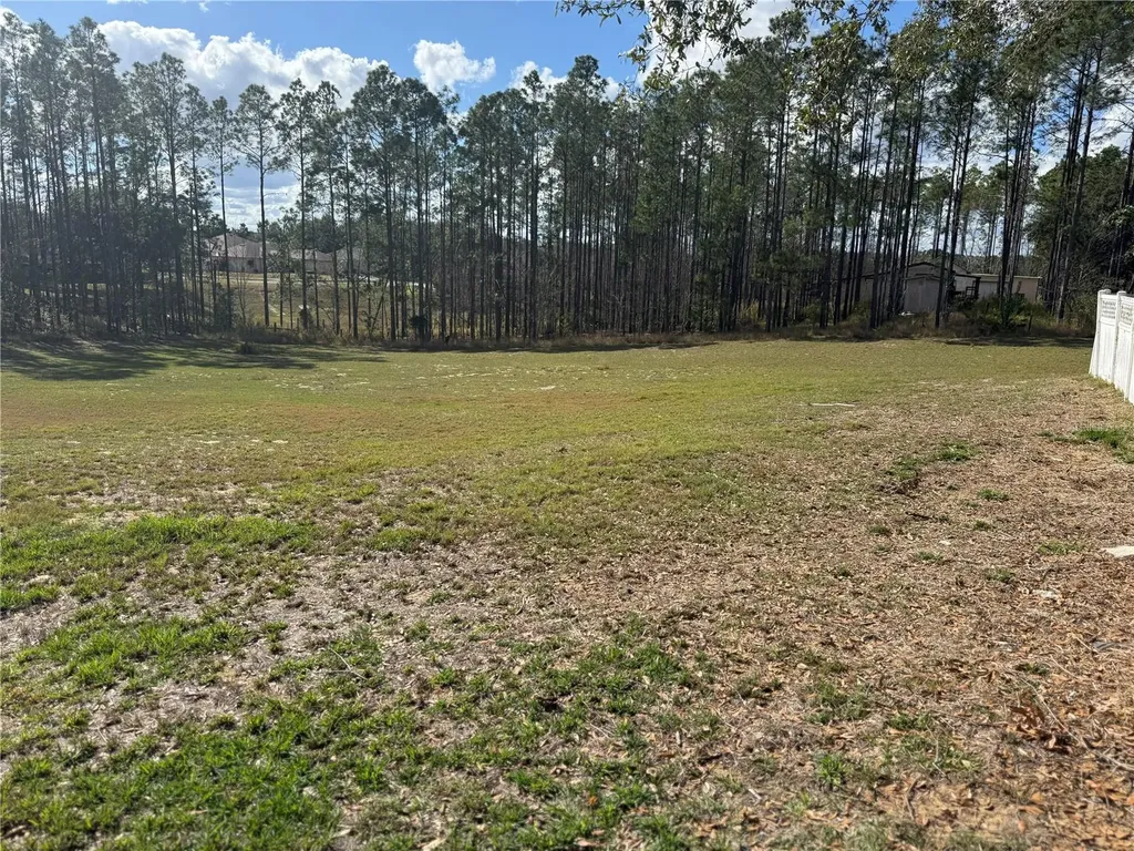 14520 Lost Lake Road Clermont FL 34711